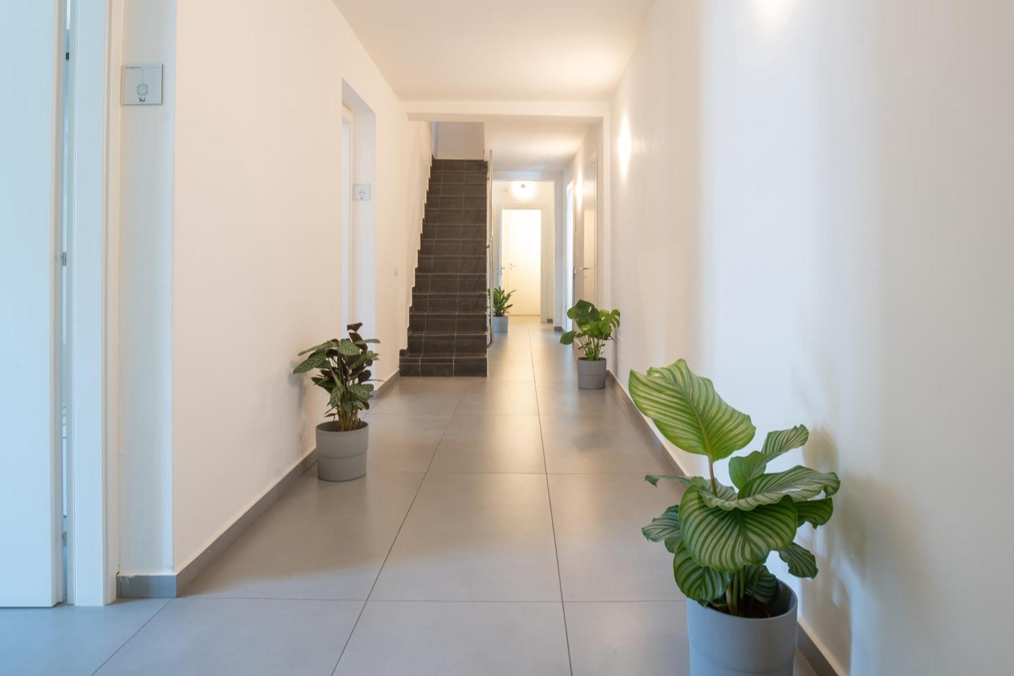 Suite Inn Catania Maison d'hôtes