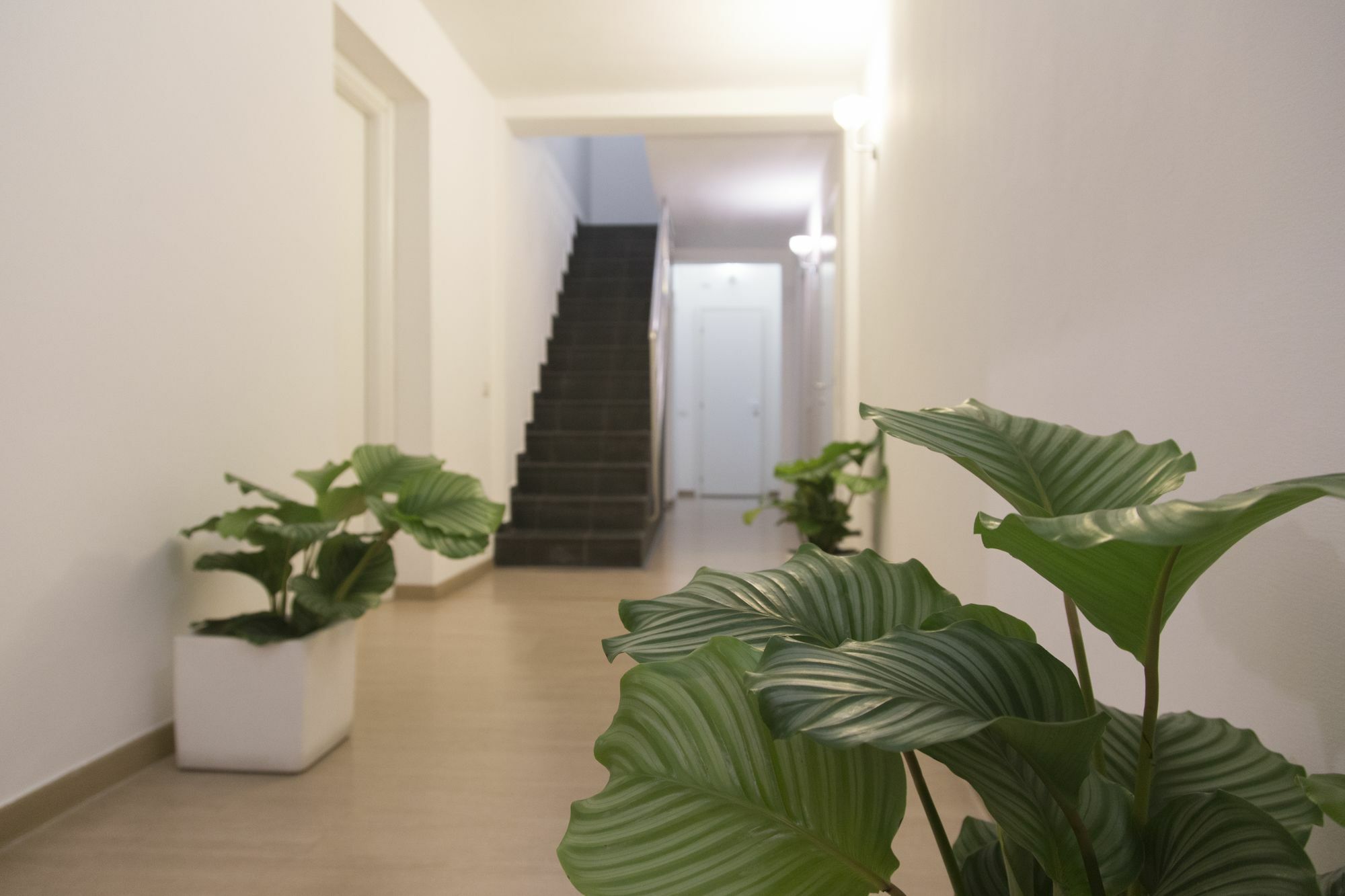 Suite Inn Catania Maison d'hôtes 3*